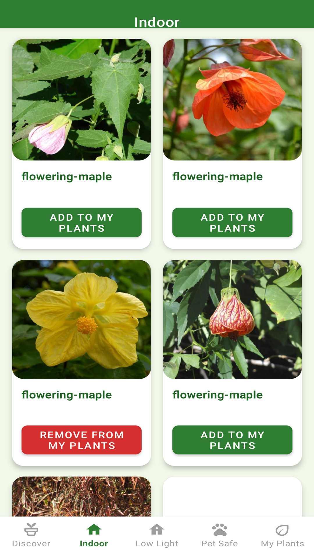 Plant Pal indoor plants list