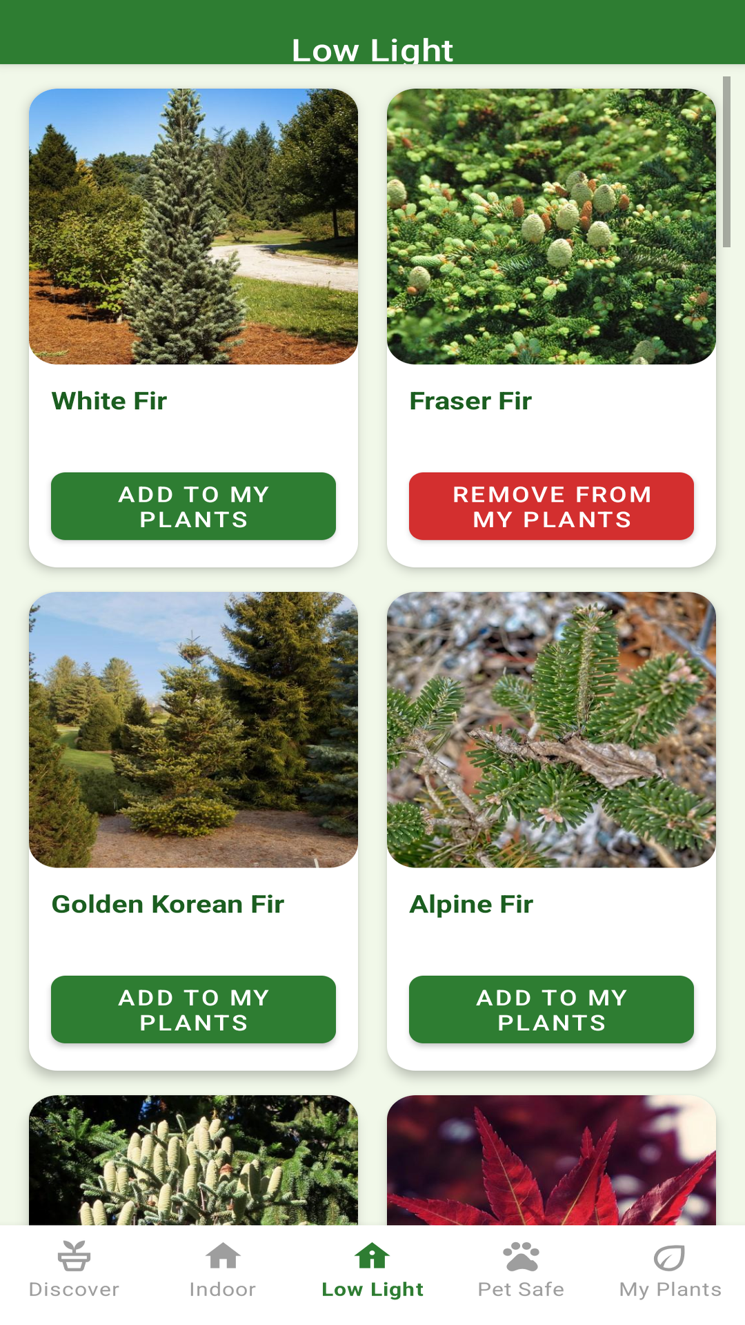 Plant Pal low light screen